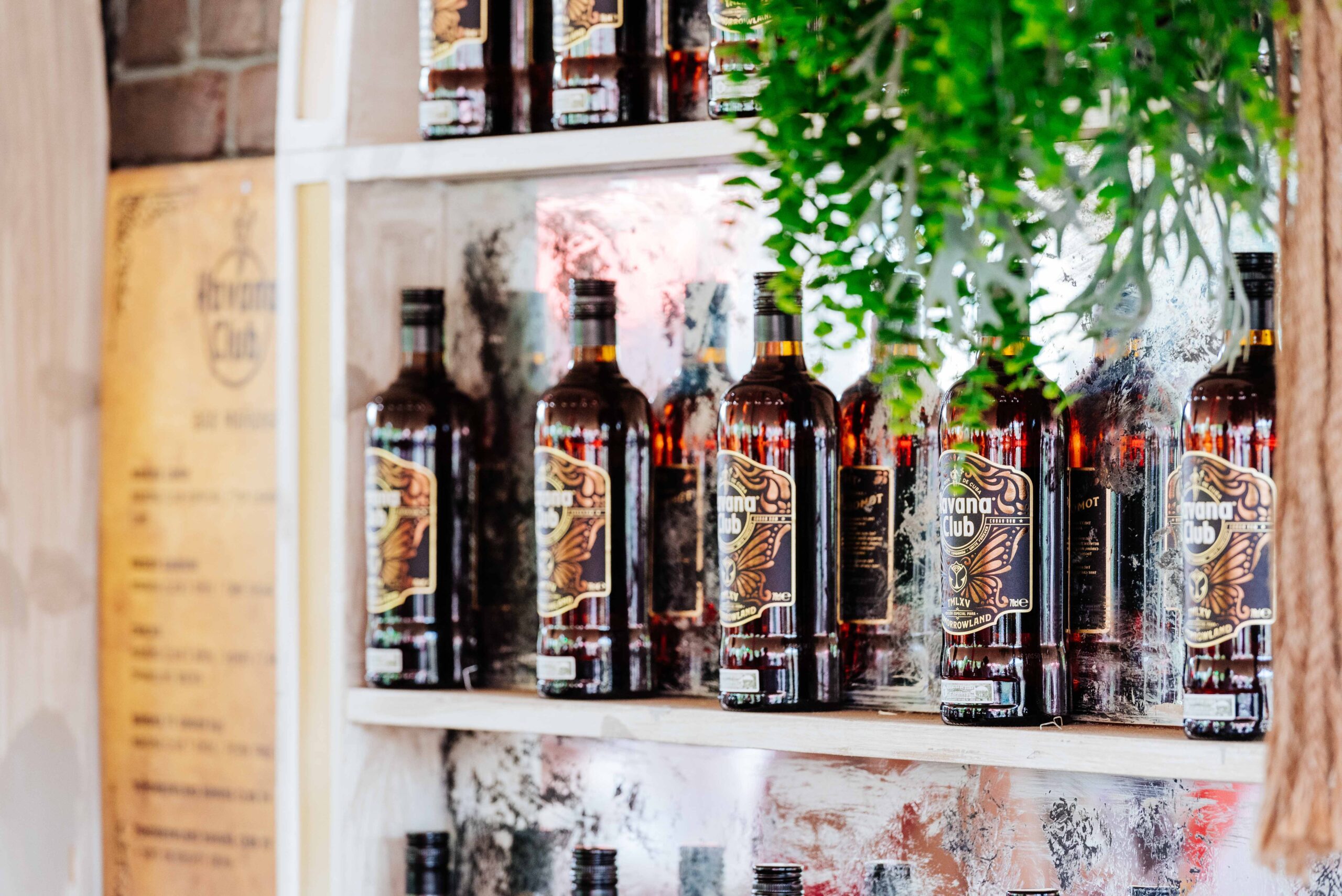 Tomorrowland event - Bottles - Image 07