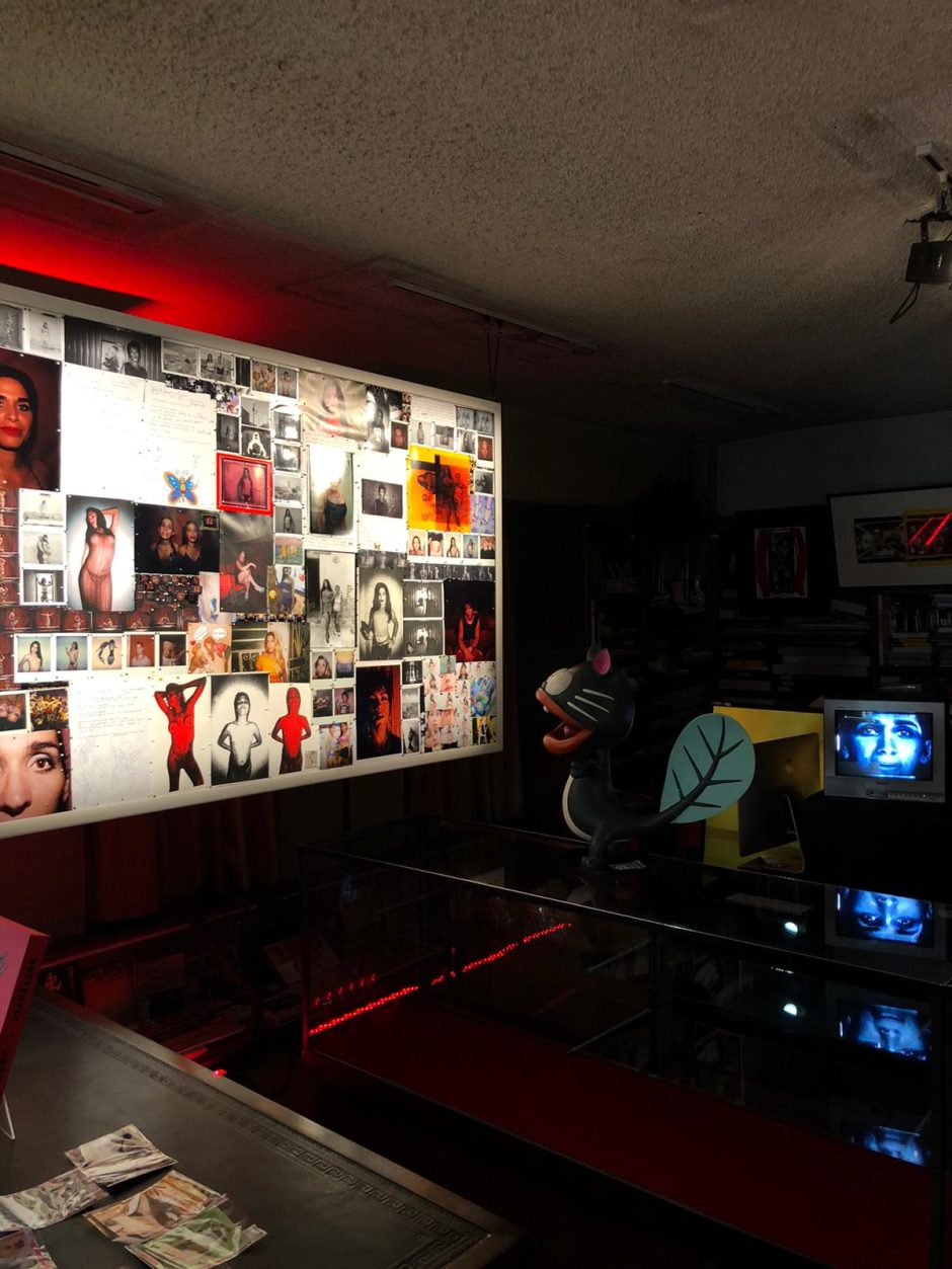 Collab Aries Arise x Havana Club